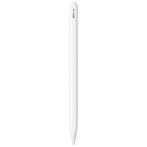 Compra Apple Pencil MUWA3AM/A USB-C